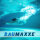Baumaxxe PVC Rückschlagventil 50 mm federbelastet I 1 1/2 Zoll PN16 I mit Verschraubung zum Öffnen und Reinigen I für Pool Verrohrung Druck und Saugleitung | bm281